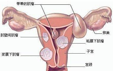 游戏专题 第40页