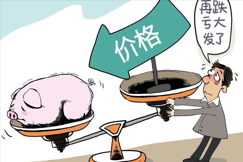 地方新闻 第13页