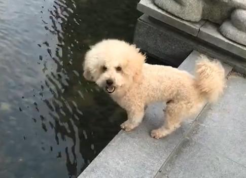 港澳新闻 第14页