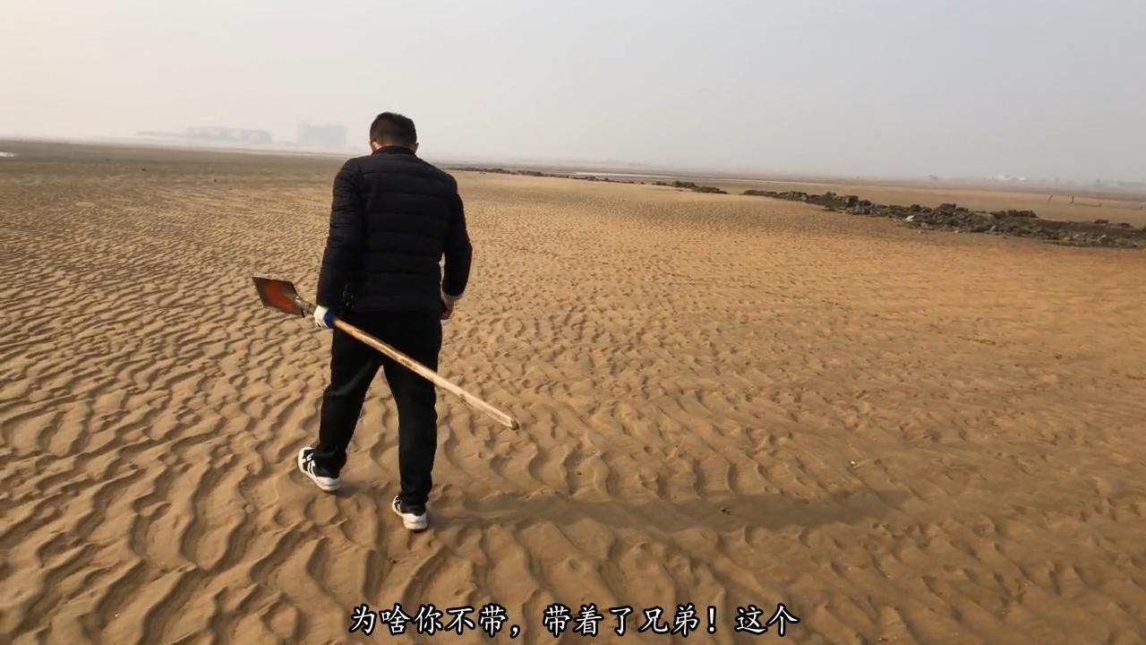 日照一赶海园被曝撒人工饲养蛤蜊日照一赶海园被曝撒人工饲养蛤蜊，引发公众关注